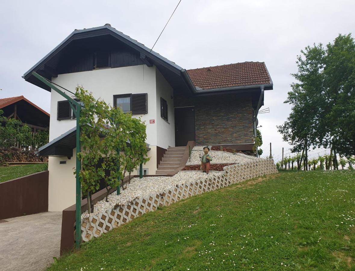 Zidanica Balantic Villa Dobrovnik Exterior photo