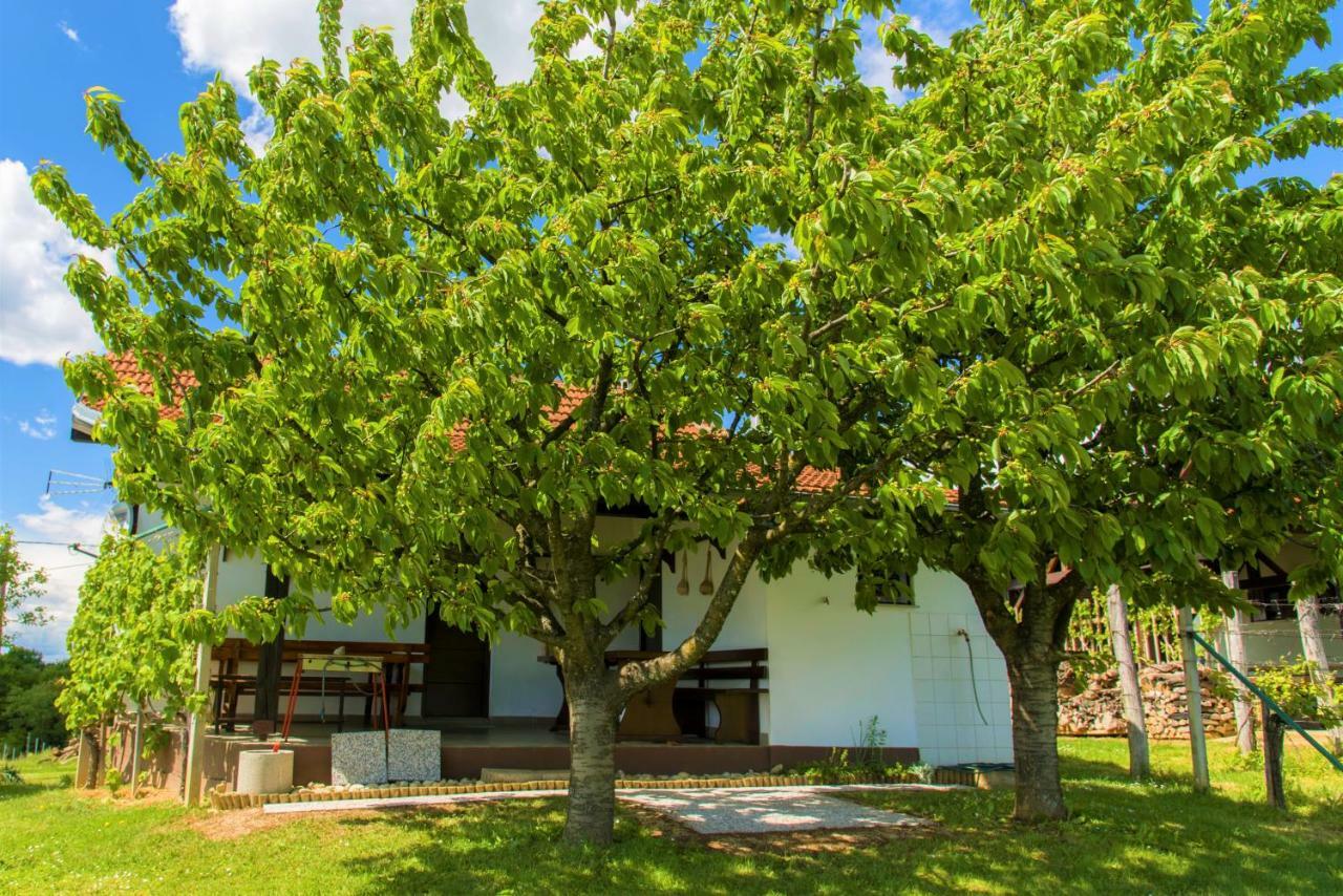 Zidanica Balantic Villa Dobrovnik Exterior photo